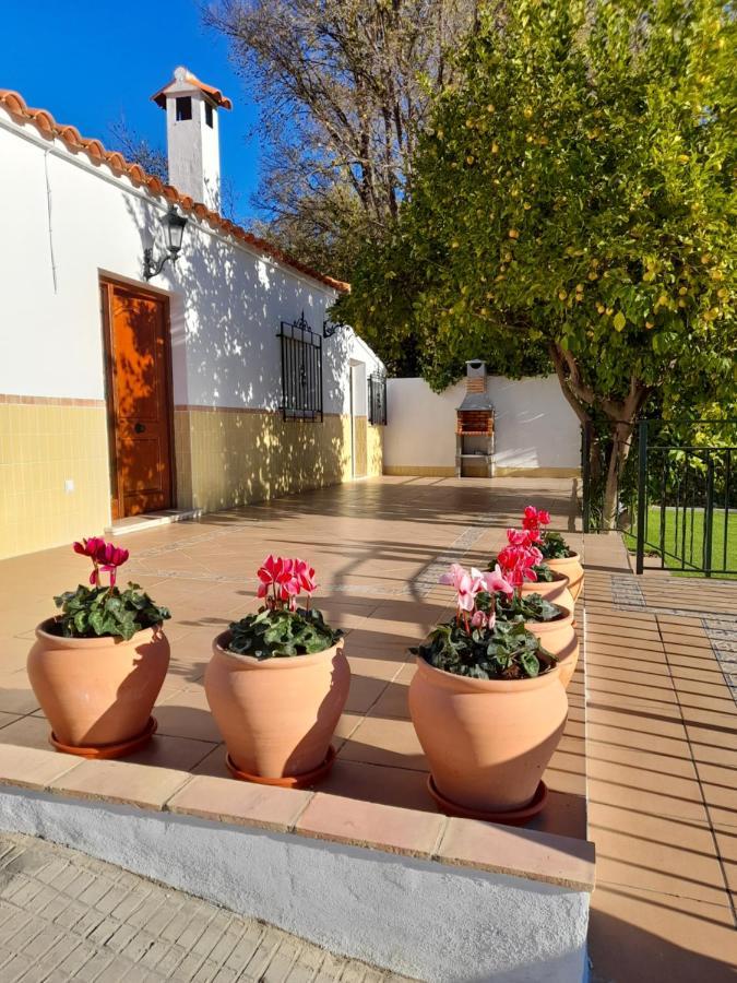 Alojamientos Rurales Villora Murcia Exterior foto